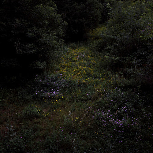 Fireworks - Higher Lonely Power - Black & White