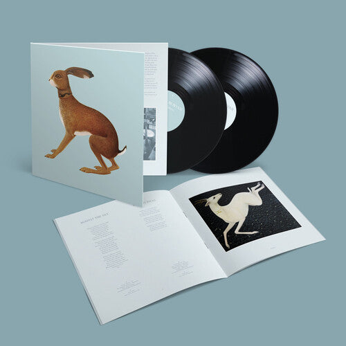 Vashti Bunyan - Lookaftering - Expanded