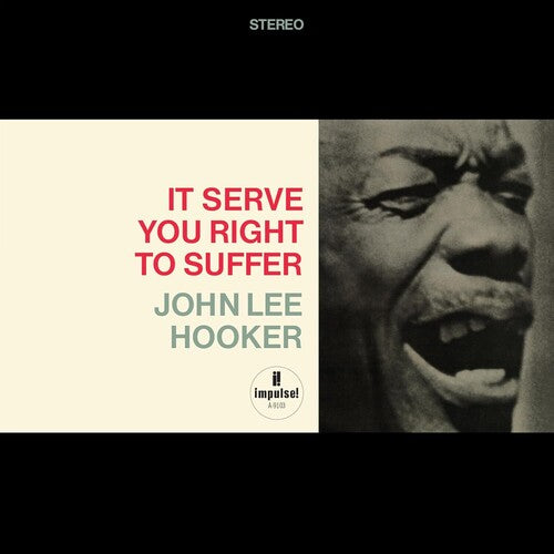 John Hooker Lee - It Serve You Right To Suffer (Verve Acoustic Sounds Series)