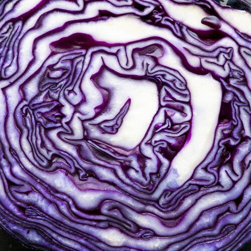 Jo Yonderly - Greatest Hits 1.0