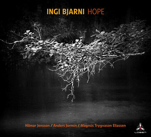 Ingi Skulason Bjarni - Hope