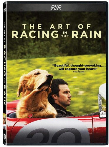 The Art of Racing in The Rain