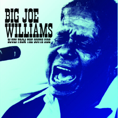 Big Joe Williams - Blues from the South Side