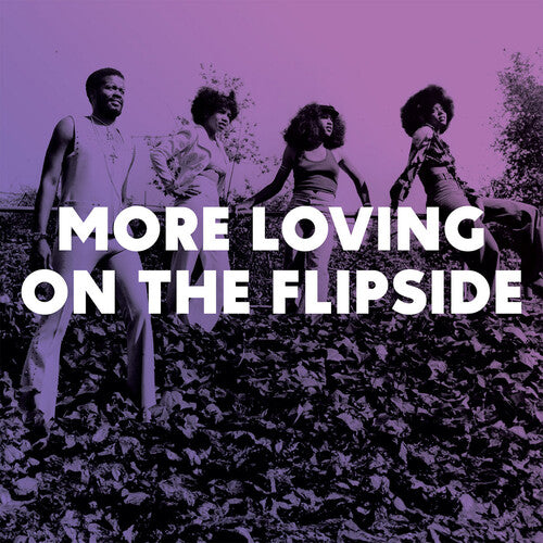 More Loving on the Flipside: Sweet Funk/ Various - More Loving On The Flipside: Sweet Funk & Beat-Heavy Ballads 1968-1975 (Various Artists)