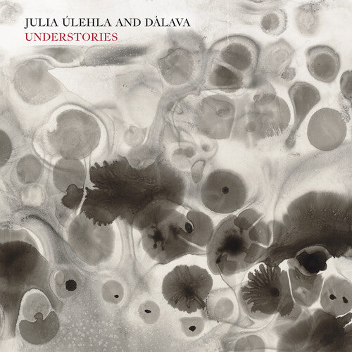 Julia Ulehla & Dalava - Understories