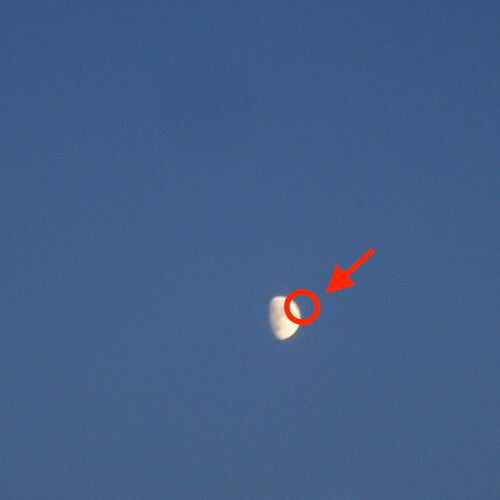 Cleopatrick - Fake Moon