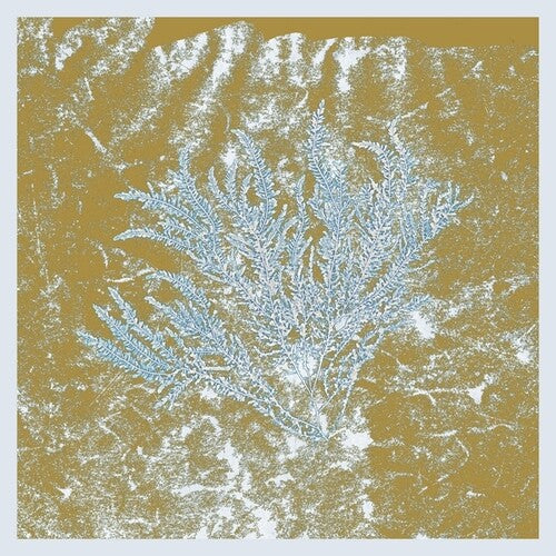 Huerco S - For Those Of You Who Have Never (And Also Those Who Have)