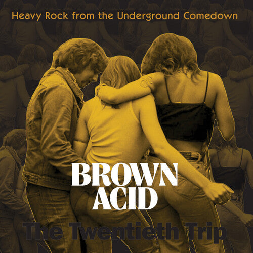 Brown Acid Twentieth Trip/ Various - Brown Acid - The Twentieth Trip (Various Artists)