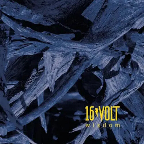 16Volt - Wisdom