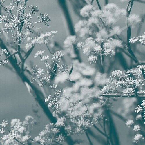 Theresa Wong - Journey To The Cave Of Guanyin