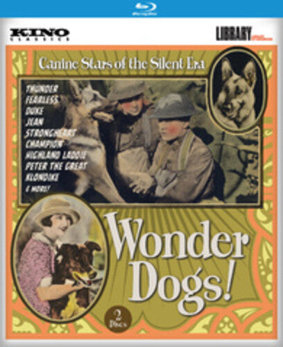 Wonder Dogs!