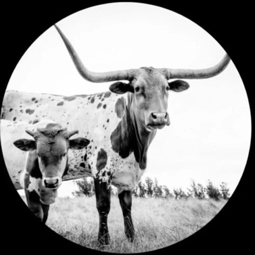 Mike Flanigin - West Texas Blues