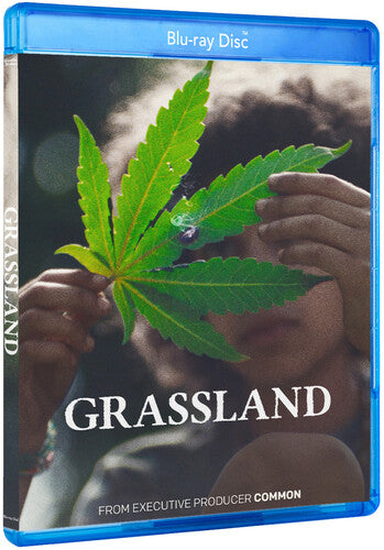 Grassland