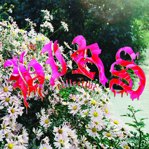 Hirs Collective - We're Still Here