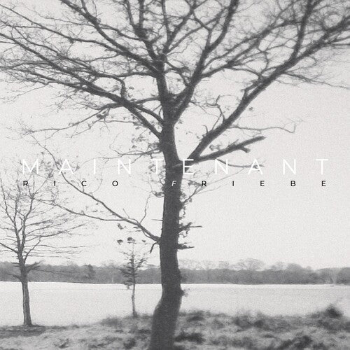 Rico Friebe - Maintenant