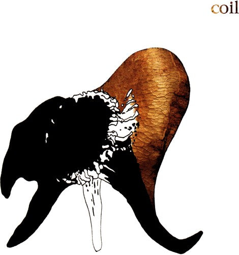 Coil - Black Antlers