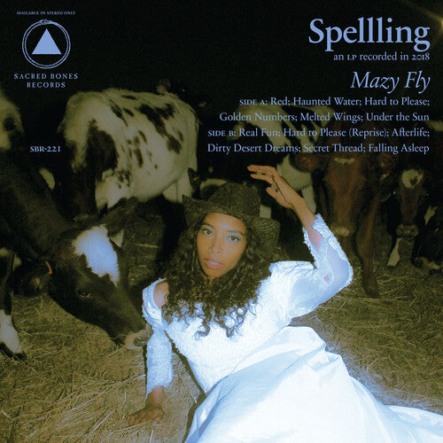 Spelling - Mazy Fly - Blue