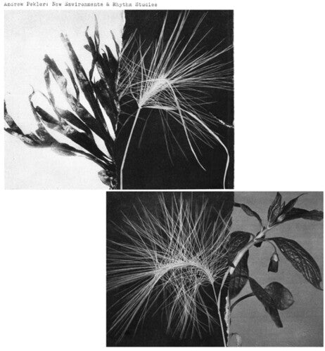 Andrew Pekler - New Environments And Rhythm Studies