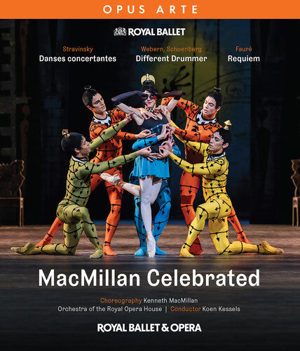 MacMillan Celebrated