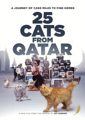25 Cats from Qatar