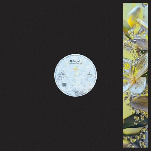 Bufobufo - Celandine