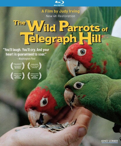 The Wild Parrots of Telegraph Hill