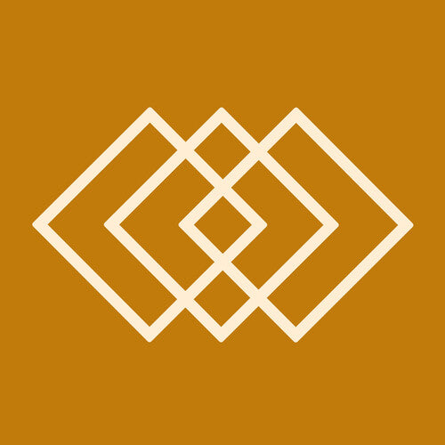 Saint Etienne - International