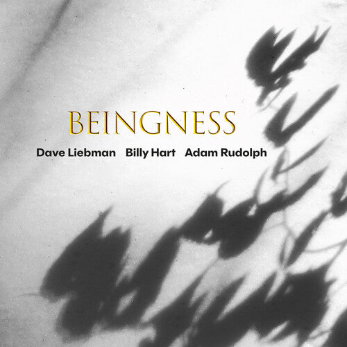 Dave Liebman / Billy Hart / Adam Rudolph - Beingness