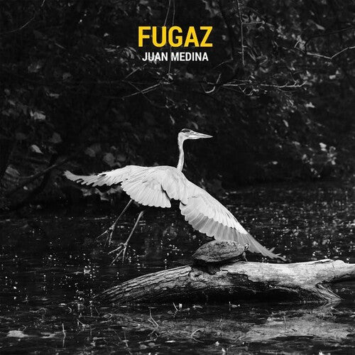 Juan Medina - Fugaz