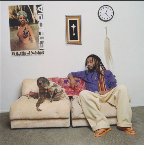 Amine - 13 Months Of Sunshine - Limited Purple Colored Vinyl