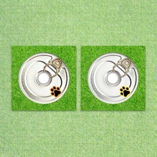 Pow - Being Tender - Compact Version - incl. Booklet, Sticker + Photocard