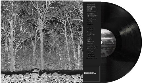 Pile - Sunshine and Balance Beams