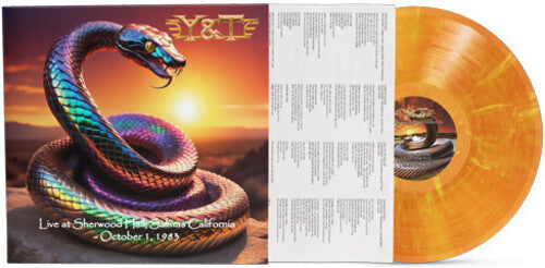 Y & T - Live at Sherwood Hall, Salinas, California - October 1, 1983 - Clear Tangerine with yellow swirl