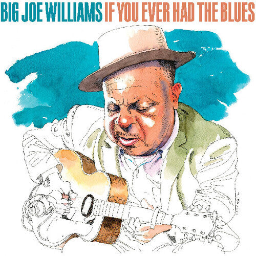 Big Joe Williams - If You Ever Had The Blues