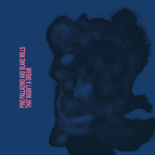 Pino Palladino / Blake Mills - That Wasn't A Dream