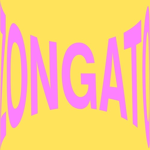 Inigo Vontier - Zongato