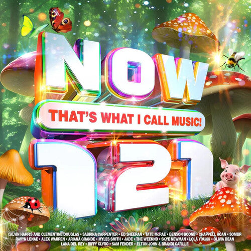 Now That's What I Call Music 121/ Various - Now That's What I Call Music 121 / Various