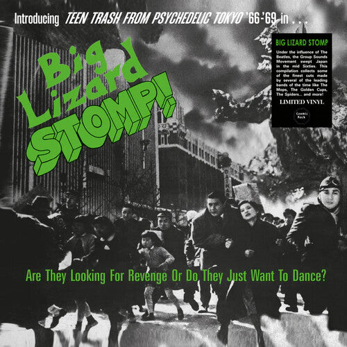 Big Lizard Stomp (Teen Trash From Psychedelic/ Va - Big Lizard Stomp (TTrash From Psychedelic Tokyo '66-'69)