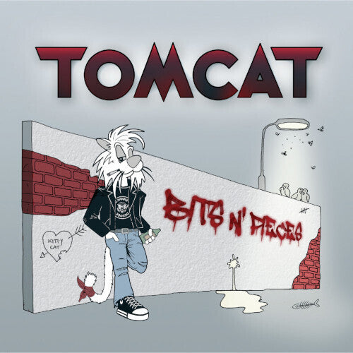 Tomcat - Bits N' Pieces