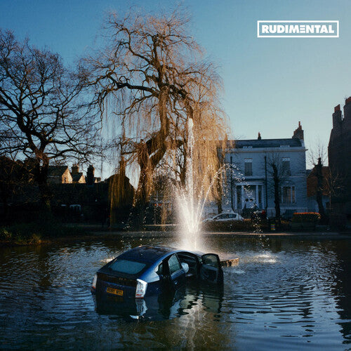 Rudimental - Rudim3ntal