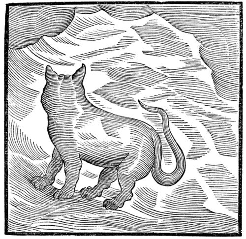 Valentina Magaletti & Ypy - Kansai Bruises