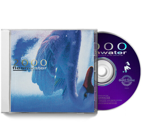 Fleshwater - 2000: In Search Of The Endless Sky