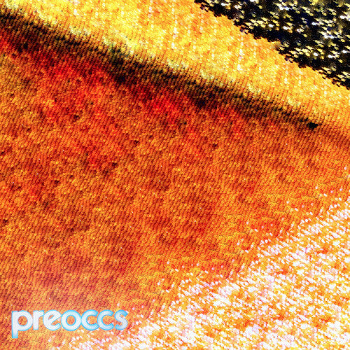 Preoccupations - Mur/ponr