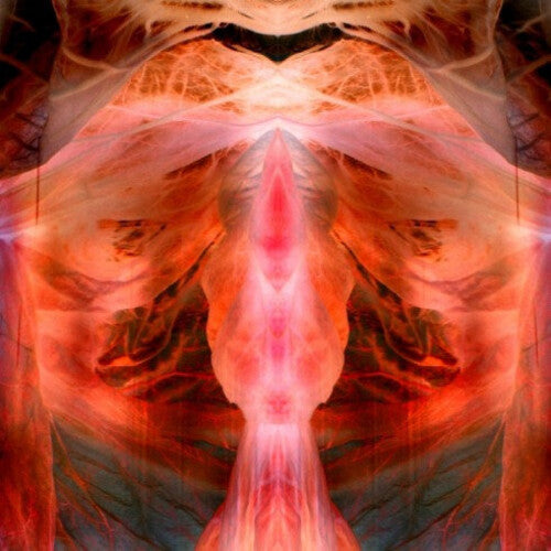 Paul Schutze - The Annihilating Angel; Or, The Surface Of The World