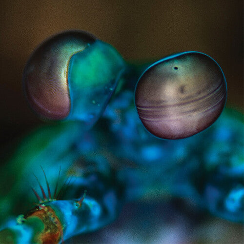 Melvin Gibbs - Amasia: Anamibia Sessions 2