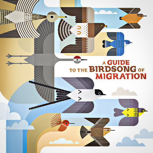 Guide to the Birdsong of Migration/ Various - A Guide to the Birdsong of Migration (Various Artists)
