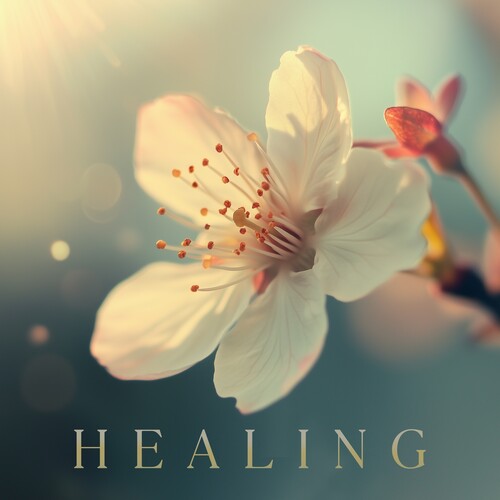 Healing/ Various - Healing (Various Artists)
