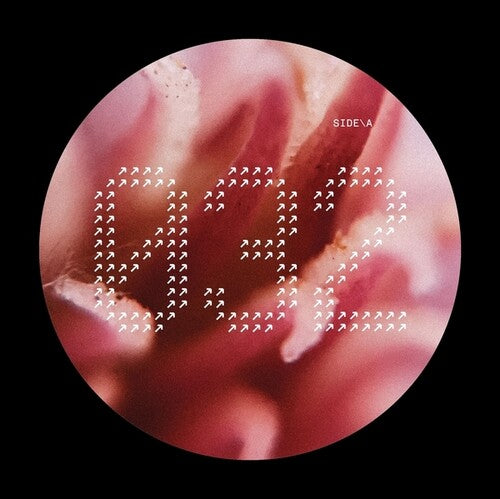 Nech032/ Various - NECH032