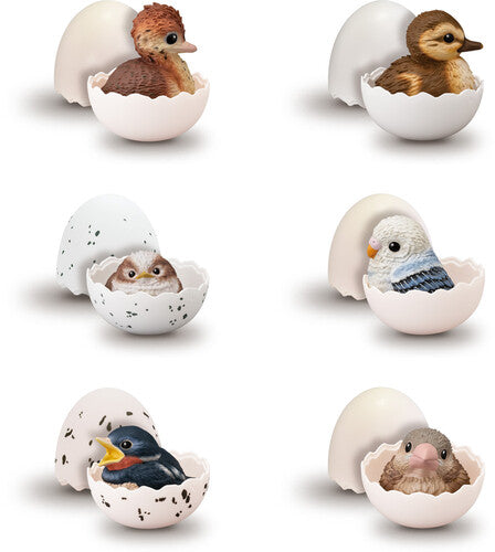 Shokugan - Tenori Baby Friends - Birds (Box/12) figure display