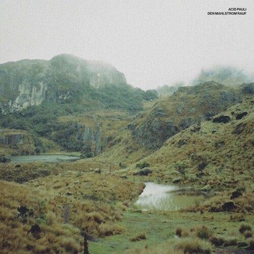 Acid Pauli - Den Mahlstrom Rauf